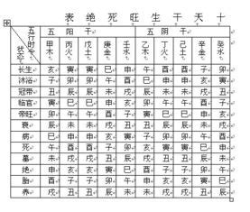 1996年天干地支